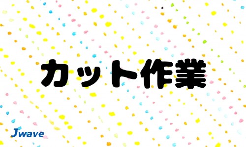 株式会社ジェイウェイブ 水戸支店の派遣社員 製造・工場の求人情報イメージ4