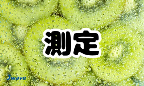 株式会社ジェイウェイブ つくば支店の派遣社員 倉庫・物流・生産管理の求人情報イメージ9