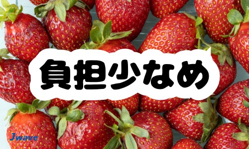 株式会社ジェイウェイブ 東日本事業所の派遣社員 倉庫・物流・生産管理 製造・工場の求人情報イメージ9