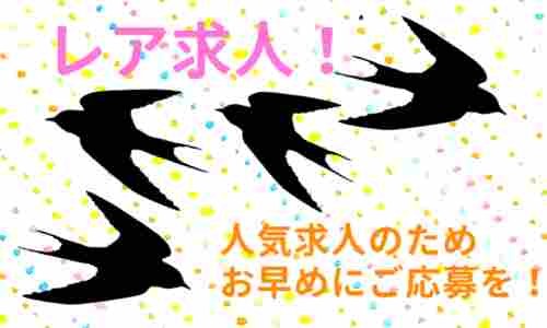 株式会社ジェイウェイブ 成田支店の派遣社員 倉庫・物流・生産管理 製造・工場の求人情報イメージ1