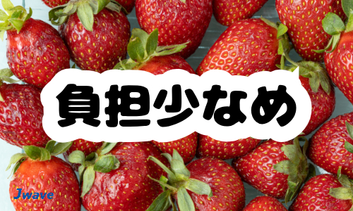 株式会社ジェイウェイブ 東日本事業所の派遣社員 倉庫・物流・生産管理 製造・工場の求人情報イメージ9