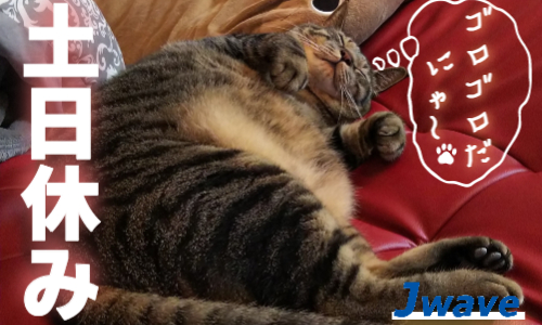 株式会社ジェイウェイブ 行橋支店の派遣社員 倉庫・物流・生産管理 ドライバー・引越し作業員の求人情報イメージ6