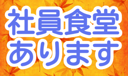 株式会社ジェイウェイブ 八代支店の派遣社員 倉庫・物流・生産管理 製造・工場の求人情報イメージ6