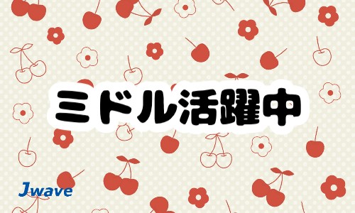 株式会社ジェイウェイブ 宗像支店の派遣社員 倉庫・物流・生産管理 製造・工場の求人情報イメージ5