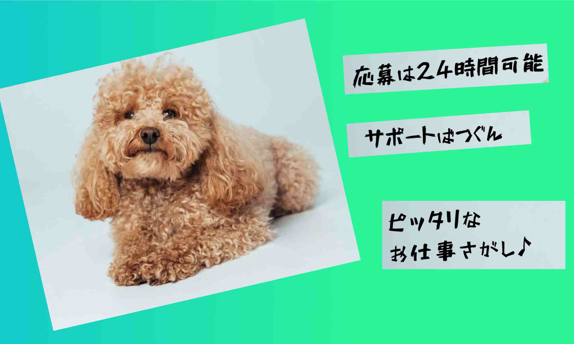 株式会社ジェイウェイブ  成田支店の派遣社員 倉庫・物流・生産管理 製造・工場の求人情報イメージ5