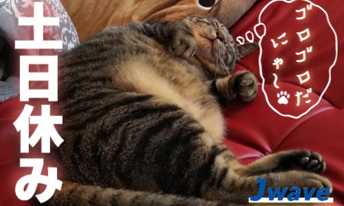 株式会社ジェイウェイブ 行橋支店の派遣社員 倉庫・物流・生産管理 ドライバー・引越し作業員の求人情報イメージ5