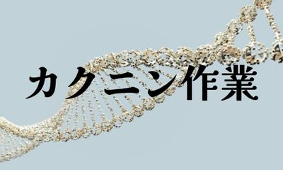 株式会社ジェイウェイブ  周南支店の派遣社員 倉庫・物流・生産管理 製造・工場の求人情報イメージ3