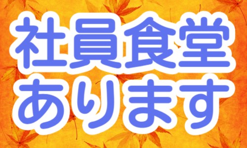 株式会社ジェイウェイブ 八代支店の派遣社員 倉庫・物流・生産管理 製造・工場の求人情報イメージ5